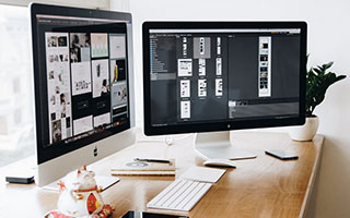 什么是生物的种和界？